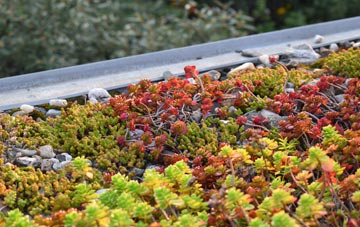 the cost of Rerwick green roof installation