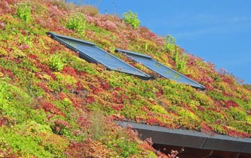 Rerwick living roof systems